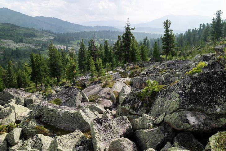 OPINION: Save our forests one roll at a time Forest Grove News Times